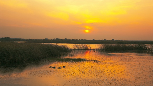 「金坛」长荡湖湿地