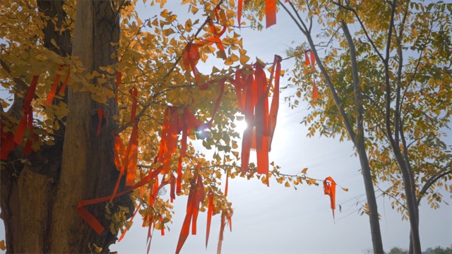 「武进」中华孝道园