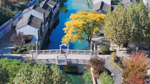 「天宁」青果巷秋景