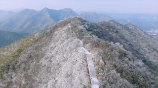 「溧阳」南山竹海初雪