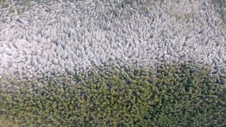 「溧阳」南山竹海初雪