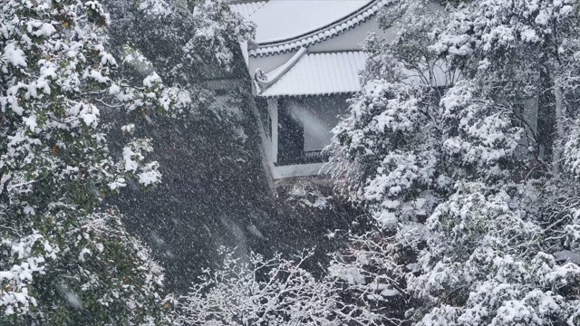 「天宁」近园雪景