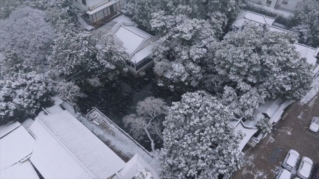「天宁」近园雪景