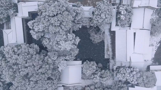 「天宁」近园雪景