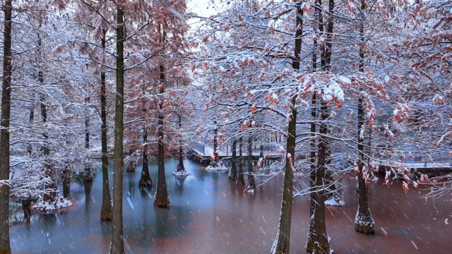 「天宁」翠竹公园雪景