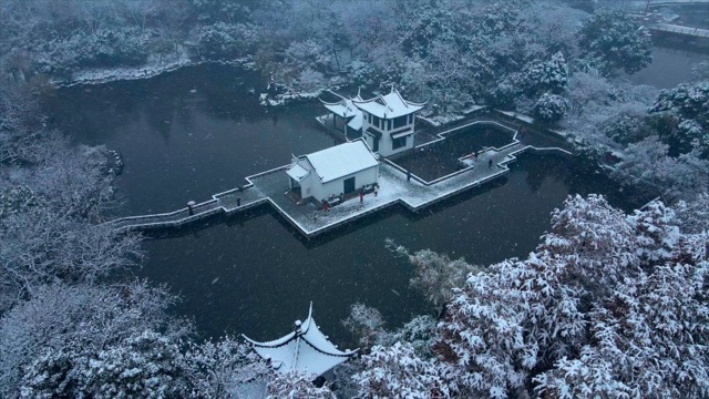 「天宁」红梅公园雪景