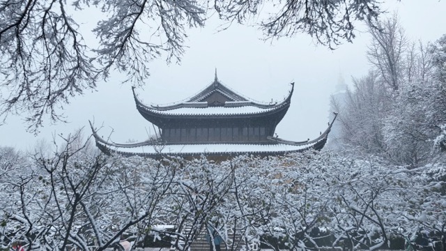 「天宁」红梅阁