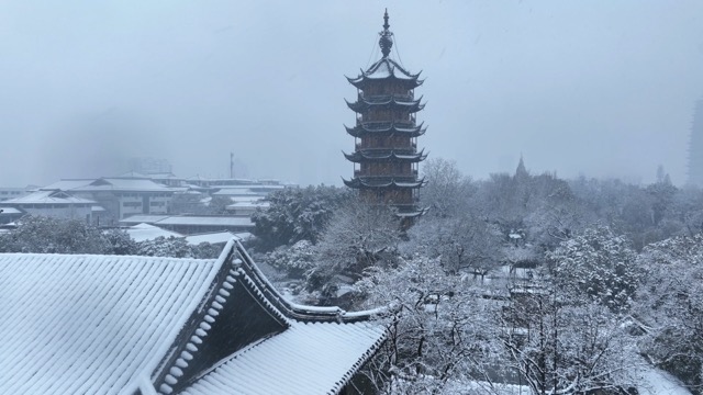 「天宁」红梅公园