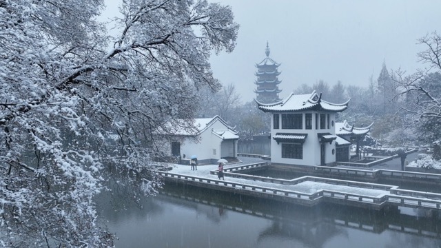 「天宁」红梅公园雪景