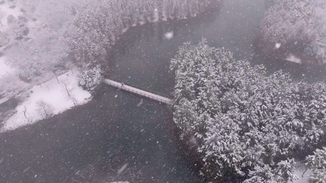 「新北」新龙生态林雪景