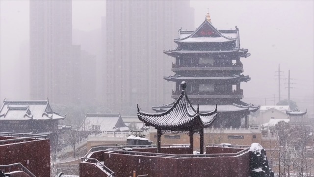 「天宁区」萃园雪景