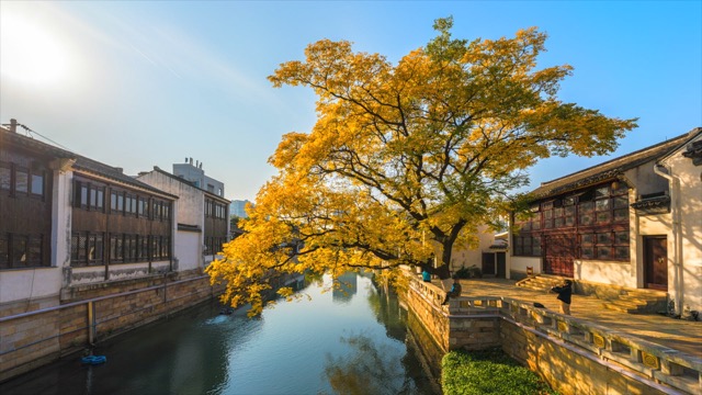 「天宁」青果巷