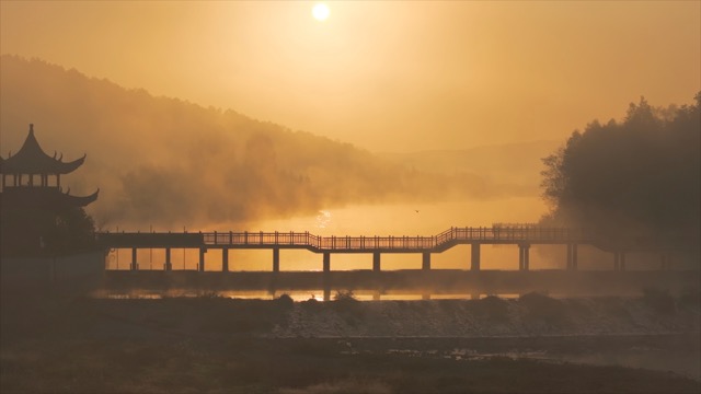 「溧阳」天目湖湿地公园飞鸟