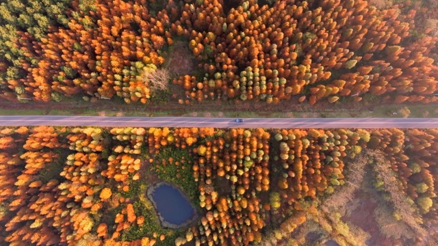 「溧阳」一号公路秋景