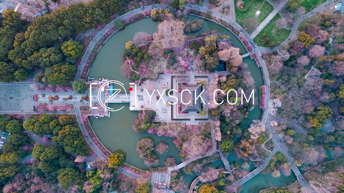 「天宁」红梅公园春景