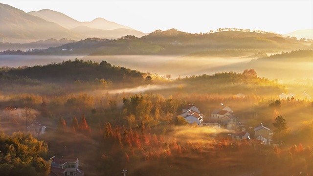 「溧阳」天目湖杨村秋色
