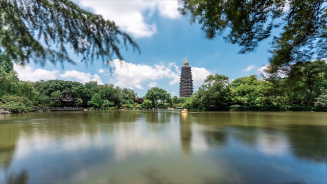 「天宁」红梅公园