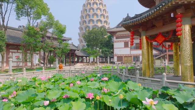 「武进」宝林寺荷池