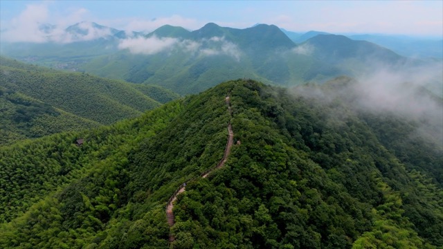 「溧阳」南山竹海云雾