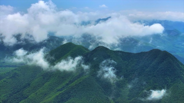 「溧阳」南山竹海云雾