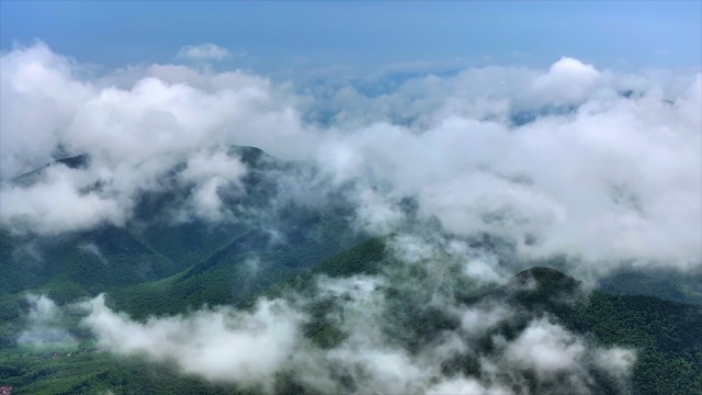 「溧阳」南山竹海云雾