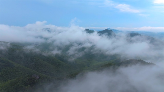 「溧阳」南山竹海云雾