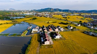 「天宁」查家湾新农村