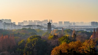 「天宁」秋季红梅公园文笔塔