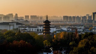 「天宁」红梅公园文笔塔晨光