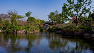 「天宁」红梅公园嘉贤坊