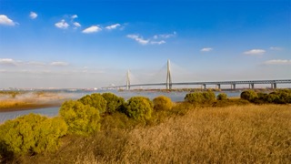 「新北」常泰大桥秋季