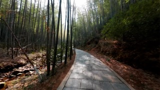 「溧阳」南山竹海林间步道FPV