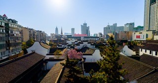 「天宁」前后北岸春季花开