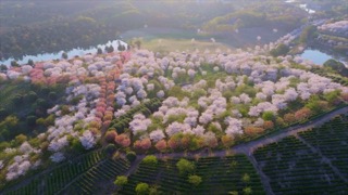 「溧阳」十思园春