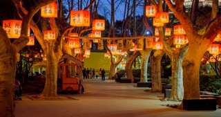 「天宁」红梅公园祈福灯笼夜景