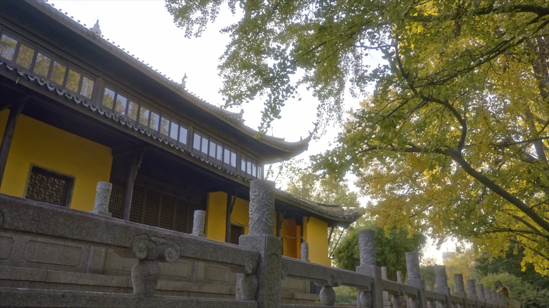 「天宁」红梅阁的秋天