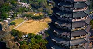 「天宁」天宁宝塔红梅公园樱花