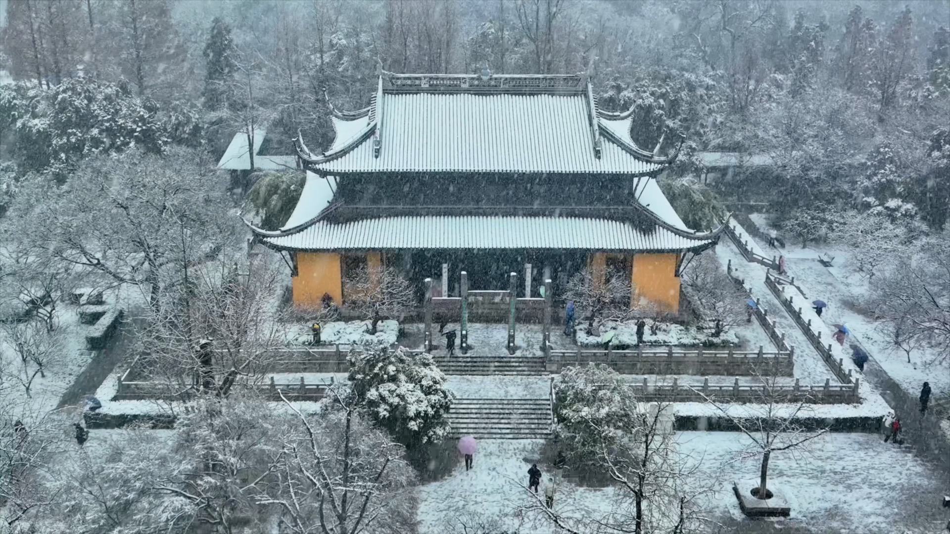 「天宁」红梅公园红梅阁下雪天