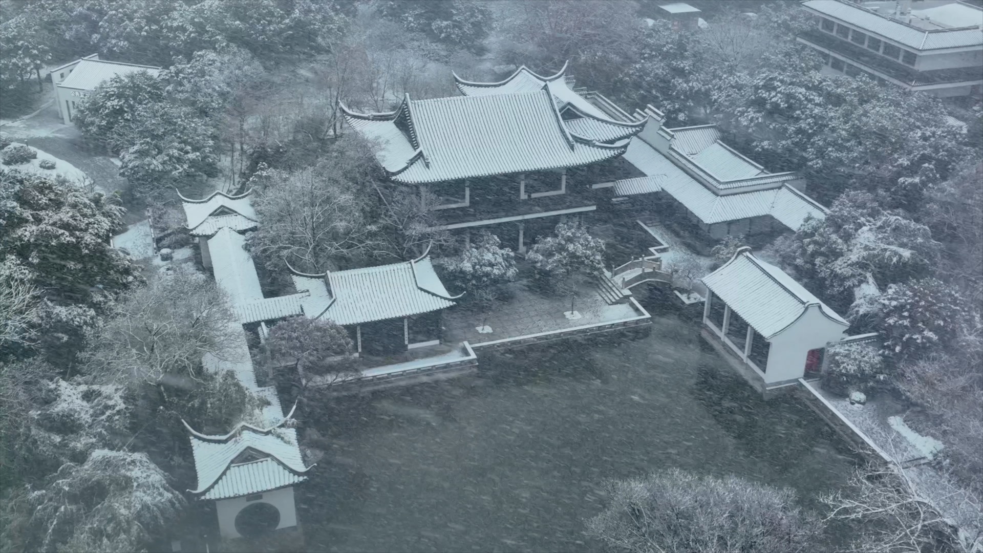 「天宁」红梅公园下雪古建筑意境
