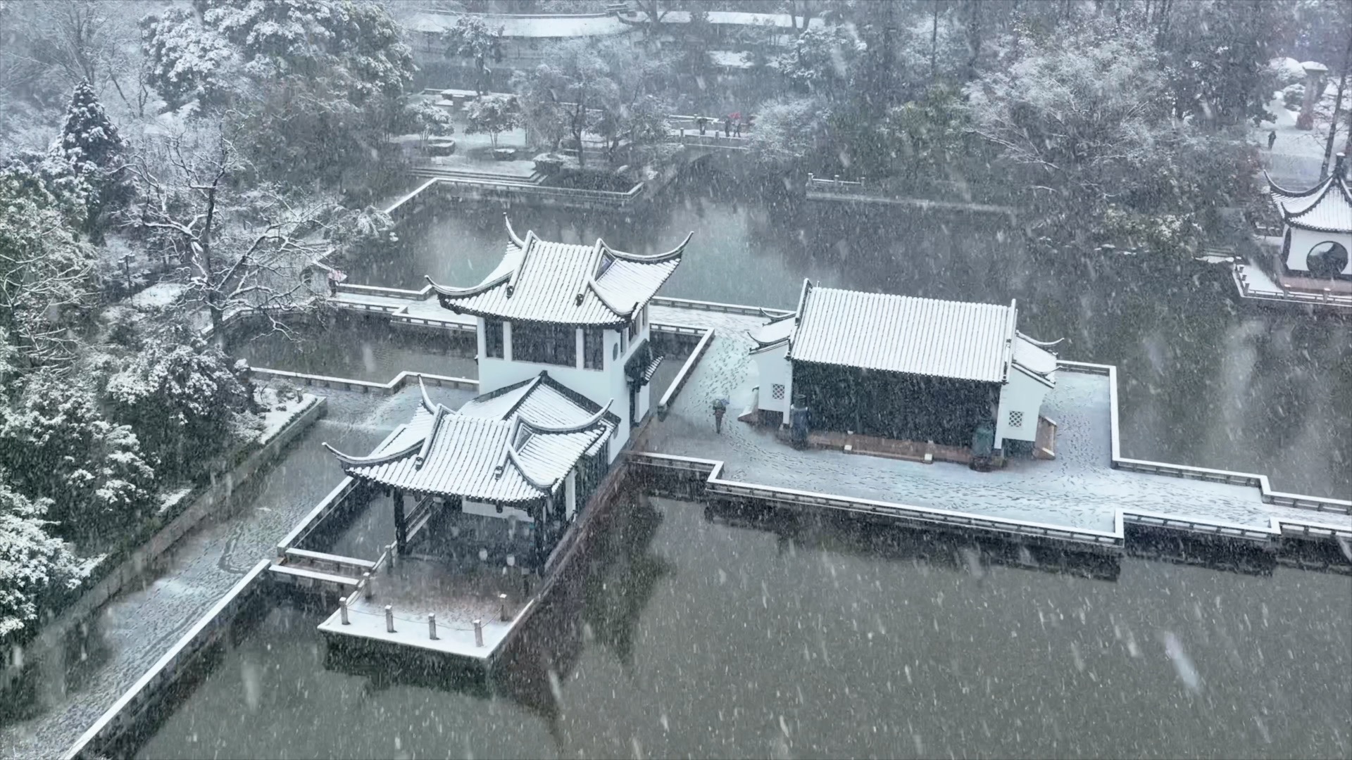 「天宁」红梅公园塔影山房下雪