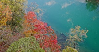 「新北」新龙生态林秋景